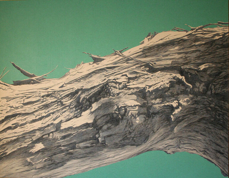 08.01.1988.II, 2008, 110x140 cm, acrylic on canvas