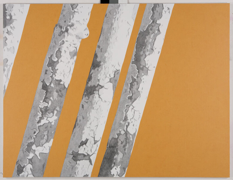 10.10.1987 I, 2009, 130x170 cm, acrylic on canvas