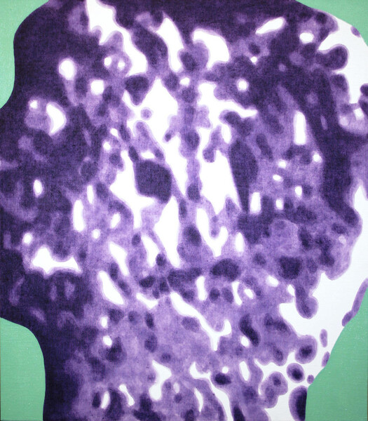 Stone Head No. 3, 2010, 80x70 cm, acrylic on canvas