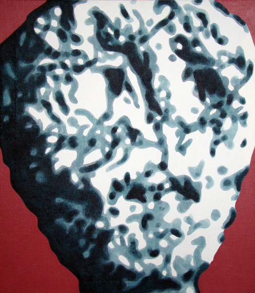 Stone Head No. 6, 2010, 80x70 cm, acrylic on canvas